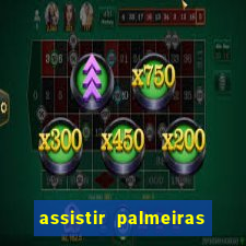assistir palmeiras futebol play